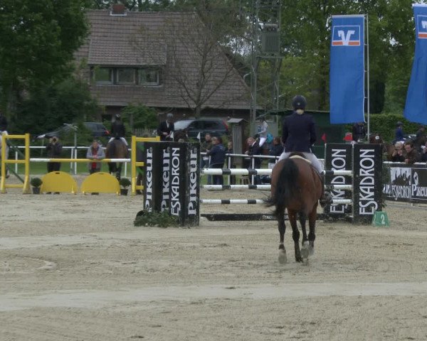 Reitturnier Ostenfelde-Vornholz 2019