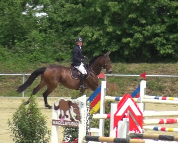 Reitturnier Ladenburg 2019