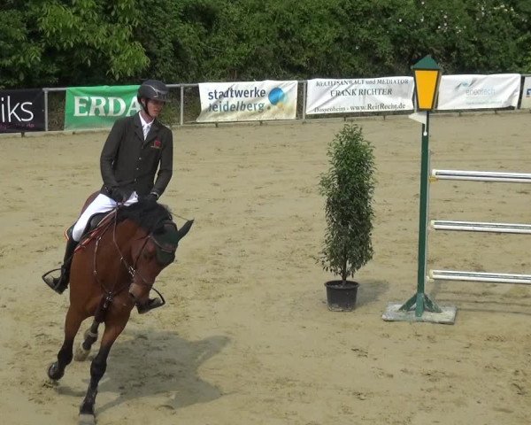 Reitturnier Ladenburg 2019