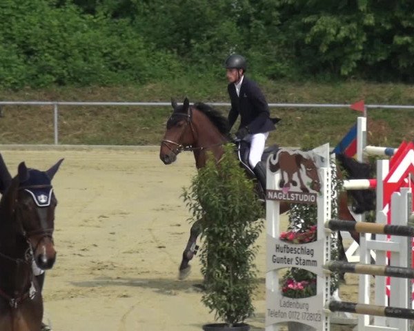 Reitturnier Ladenburg 2019