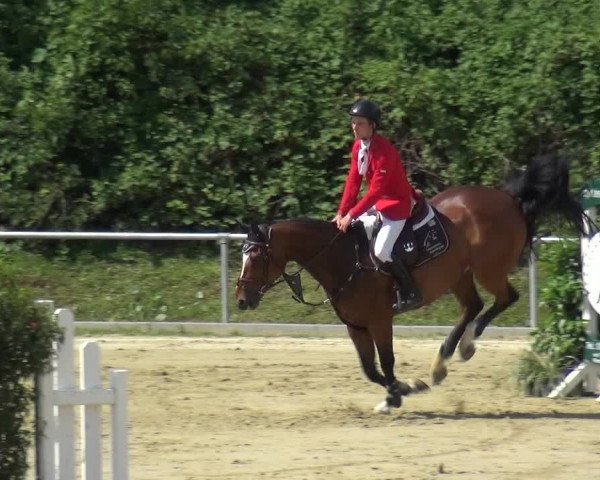 Reitturnier Ladenburg 2019