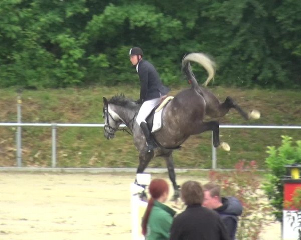 Reitturnier Ladenburg 2019