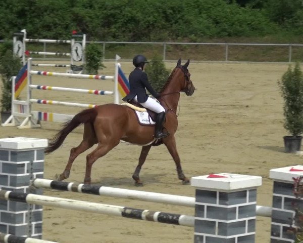 Reitturnier Ladenburg 2019