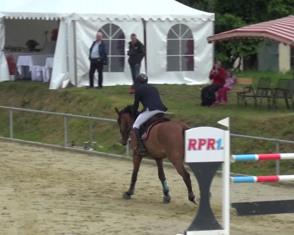 Reitturnier Ladenburg 2019