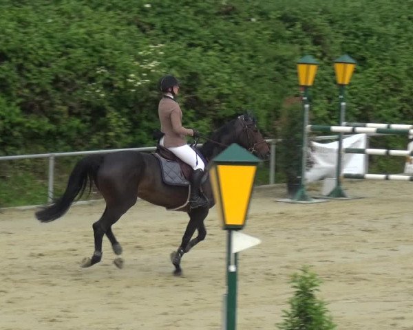 Reitturnier Ladenburg 2019