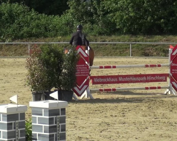Reitturnier Ladenburg 2019
