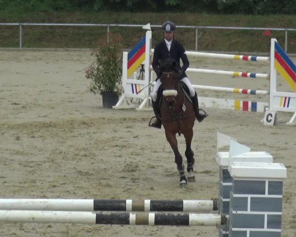 Reitturnier Ladenburg 2019