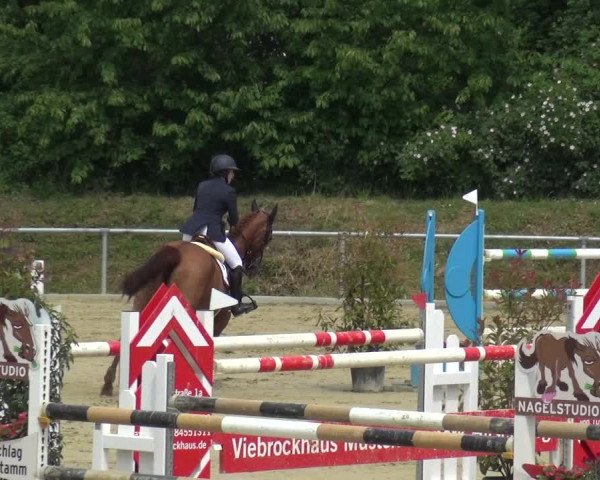 Reitturnier Ladenburg 2019