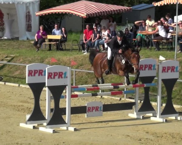 Reitturnier Ladenburg 2019
