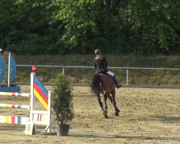 Reitturnier Ladenburg 2019