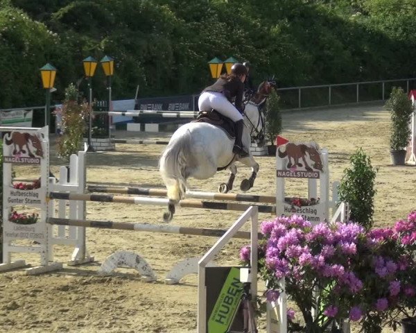 Reitturnier Ladenburg 2019