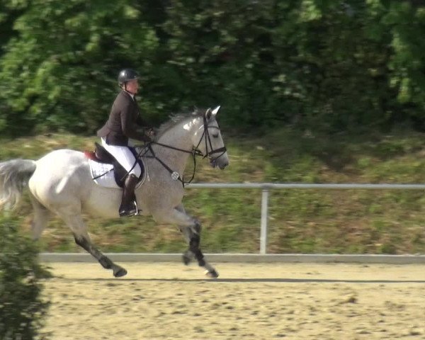Reitturnier Ladenburg 2019