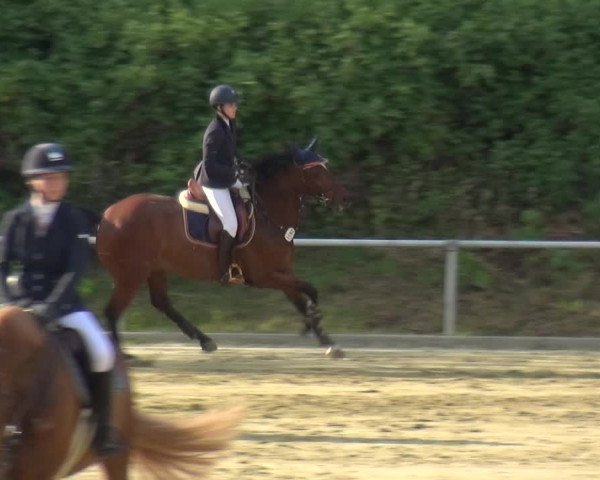 Reitturnier Ladenburg 2019