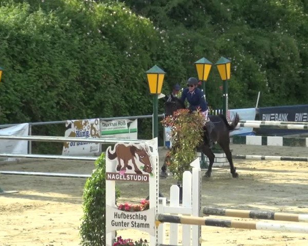 Reitturnier Ladenburg 2019