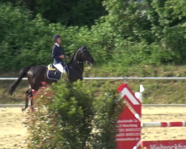 Reitturnier Ladenburg 2019