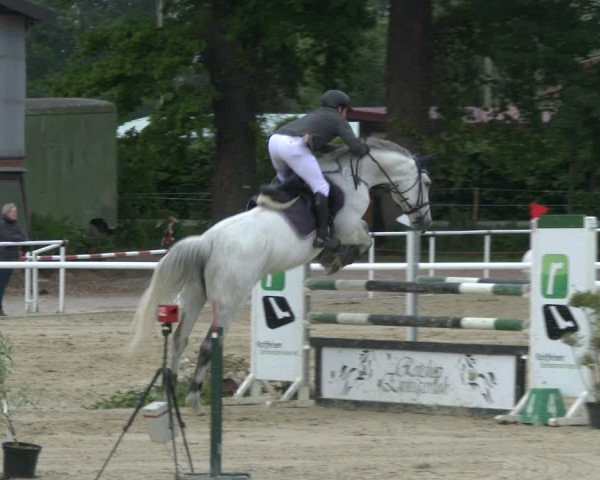 Reitturnier Ostenfelde-Vornholz 2019