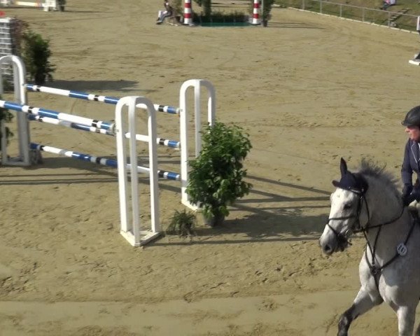 Reitturnier Ladenburg 2019
