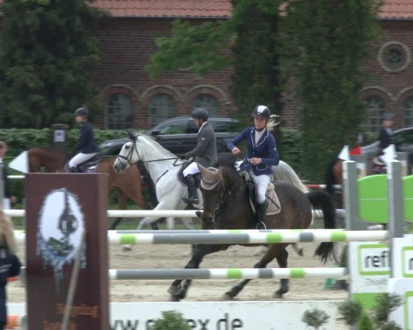 Reitturnier Ostenfelde-Vornholz 2019