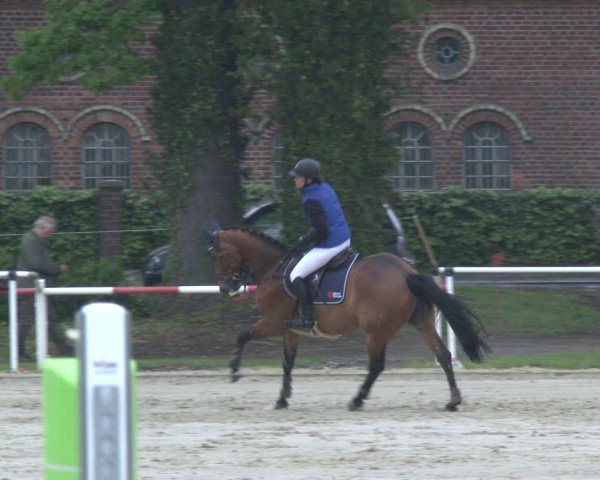 Reitturnier Ostenfelde-Vornholz 2019