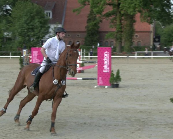 Reitturnier Ostenfelde-Vornholz 2019
