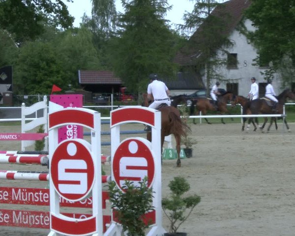 Reitturnier Ostenfelde-Vornholz 2019