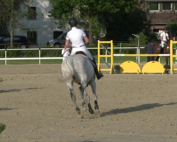 Reitturnier Ostenfelde-Vornholz 2019