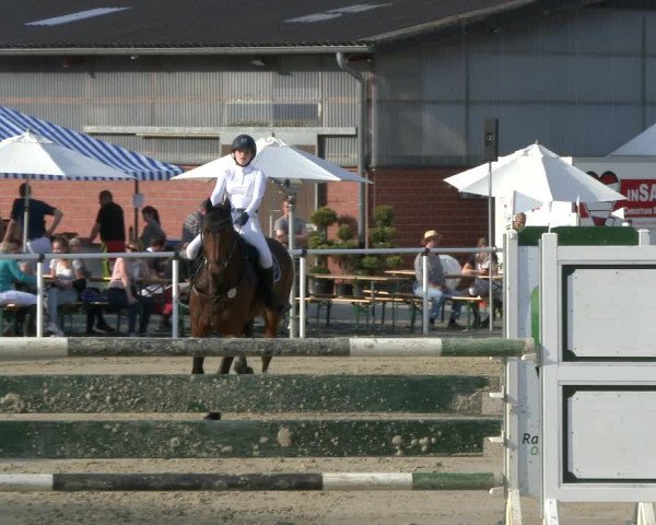 Reitturnier Ostenfelde-Vornholz 2019