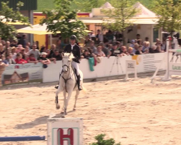 Reitturnier Oberfrauendorf 2019