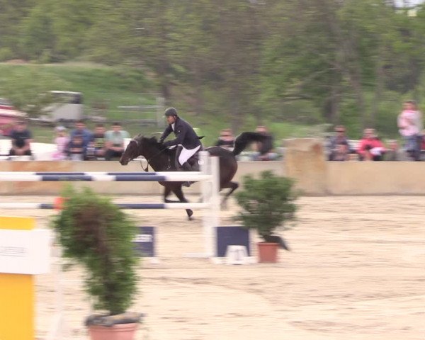 Reitturnier Oberfrauendorf 2019