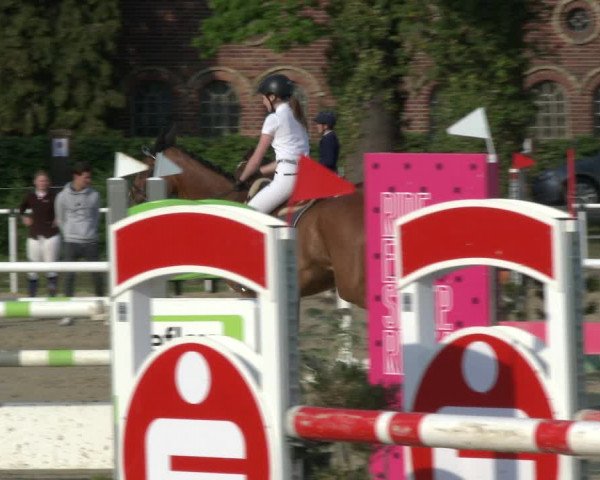Reitturnier Ostenfelde-Vornholz 2019