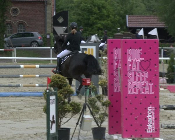 Reitturnier Ostenfelde-Vornholz 2019