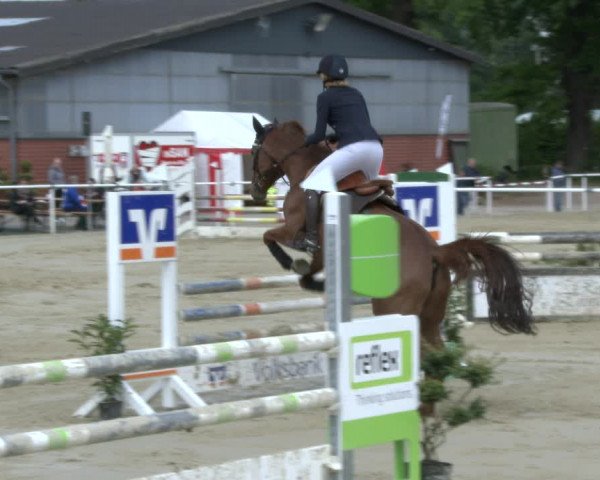 Reitturnier Ostenfelde-Vornholz 2019