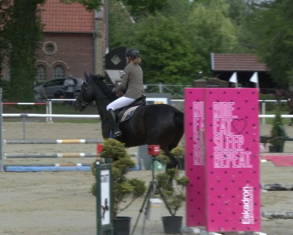 Reitturnier Ostenfelde-Vornholz 2019