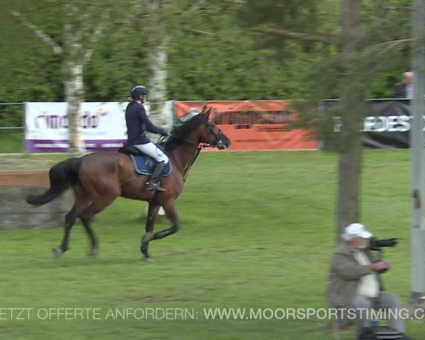 Reitturnier Elgg 2019
