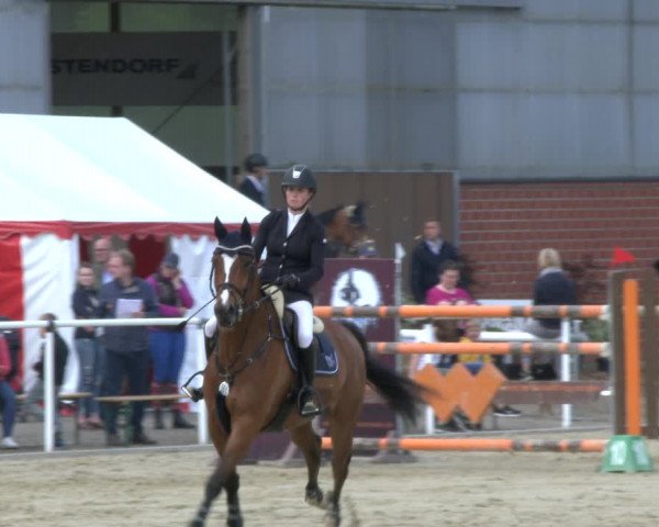 Reitturnier Ostenfelde-Vornholz 2019