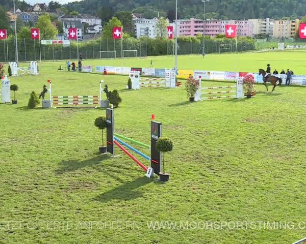 Reitturnier Elgg 2019