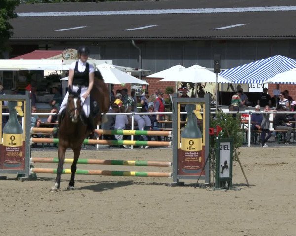 Reitturnier Ostenfelde-Vornholz 2019