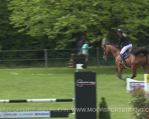 Reitturnier Elgg 2019