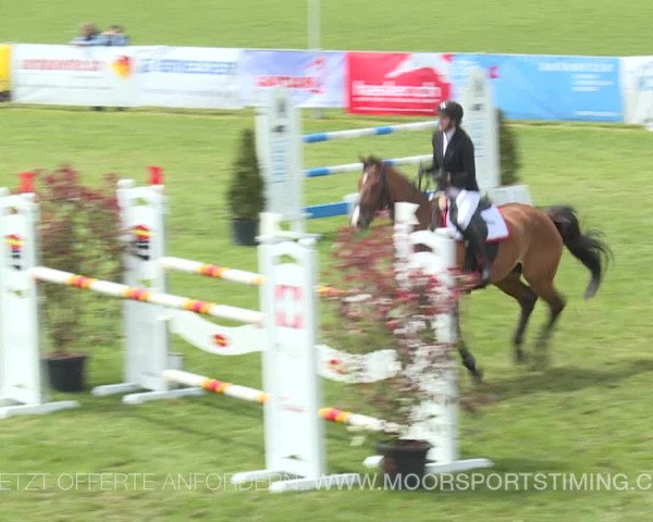 Reitturnier Elgg 2019