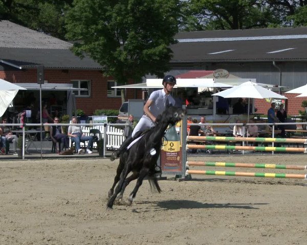 Reitturnier Ostenfelde-Vornholz 2019