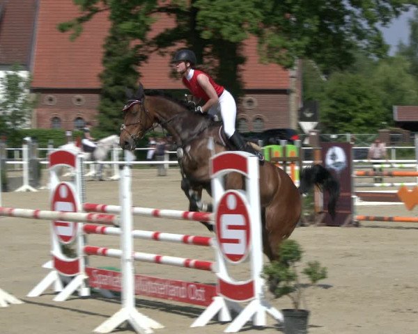 Reitturnier Ostenfelde-Vornholz 2019