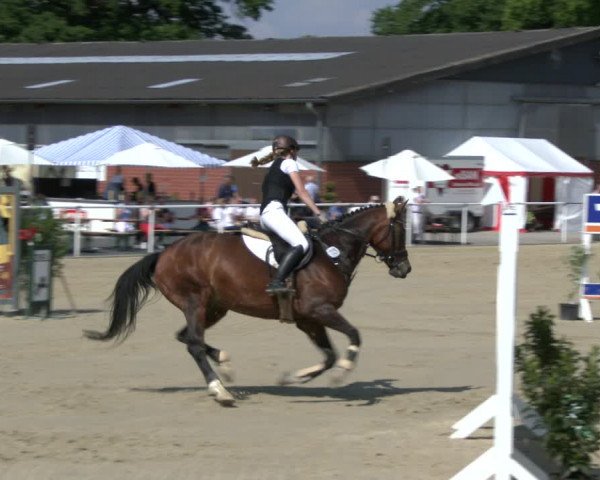 Reitturnier Ostenfelde-Vornholz 2019