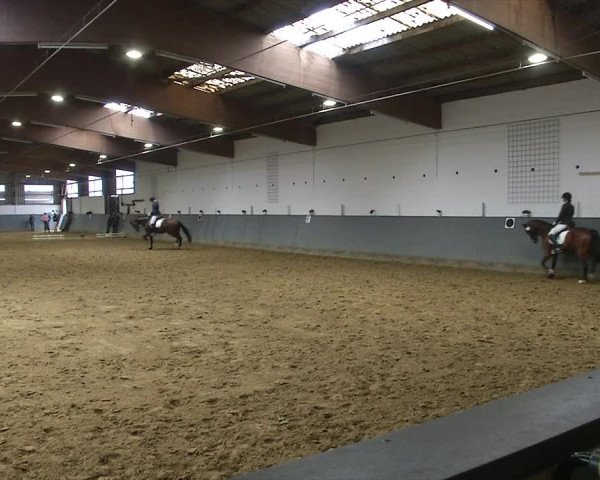 Reitturnier Dortmund-Asseln 2019