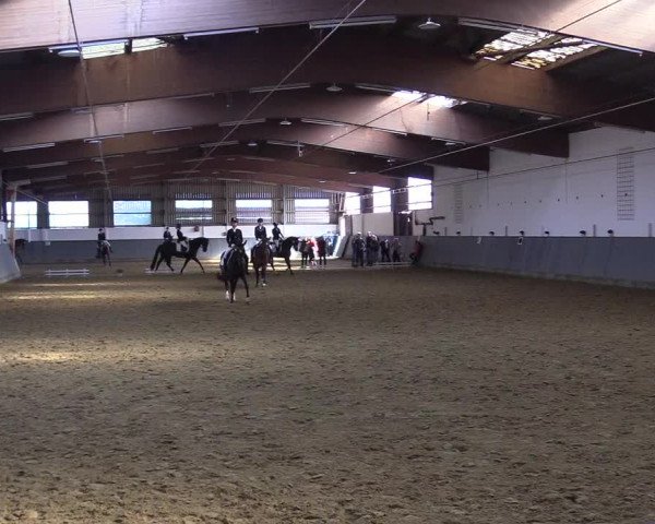 Reitturnier Dortmund-Asseln 2019