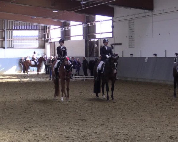 Reitturnier Dortmund-Asseln 2019