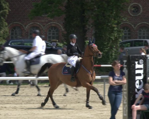 Reitturnier Ostenfelde-Vornholz 2019