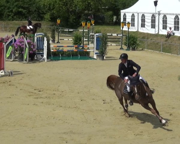 Reitturnier Ladenburg 2019