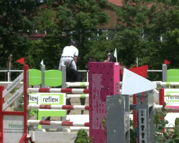 Reitturnier Ostenfelde-Vornholz 2019