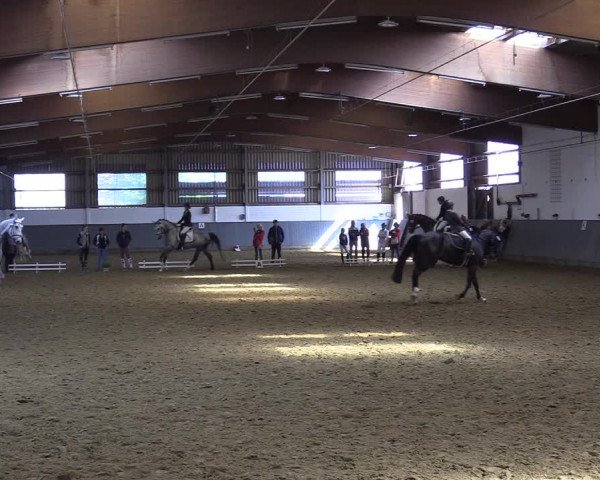 Reitturnier Dortmund-Asseln 2019