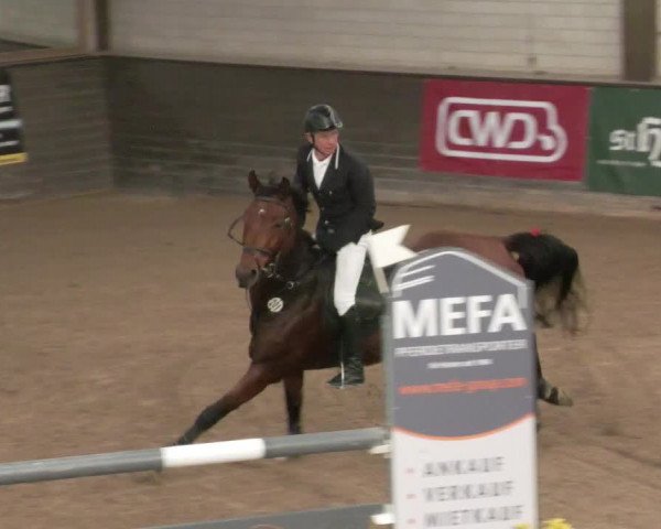 Reitturnier Heilbronn 2021